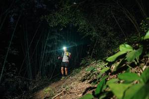 BIB: 
                            <button type="button" onclick="openModal(28142291)" class="btn btn-primary btn-sm float-right btn-popup" data-toggle="modal" data-target=".modal-high-quality">
                        <i class="fas fa-shopping-cart"></i> Add to Cart
                    </button>
                                            <button type="button" onclick="isThisMe(28142291, true)" class="btn btn-success btn-sm float-right btn-popup btn-isme hidden" data-toggle="tooltip" data-placement="bottom" title="นี่คือรูปของคุณใช่ไหม คลิกที่นี่เพื่อเอาเข้าอัลบั้ม">
                        <i class="fas fa-plus"></i> Add to album
                    </button>
                    <button type="button" onclick="isThisMe(28142291, false)" class="btn btn-warning btn-sm float-right btn-popup btn-isnotme hidden">
                        <i class="fas fa-ban"></i> Remove from album
                    </button>